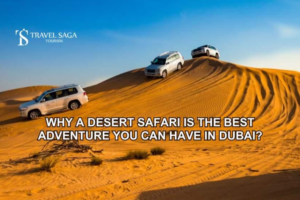 Desert Safari