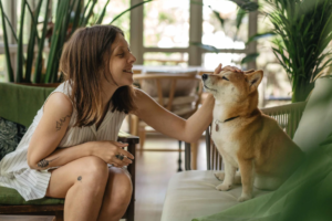 pet door for sliding glass door