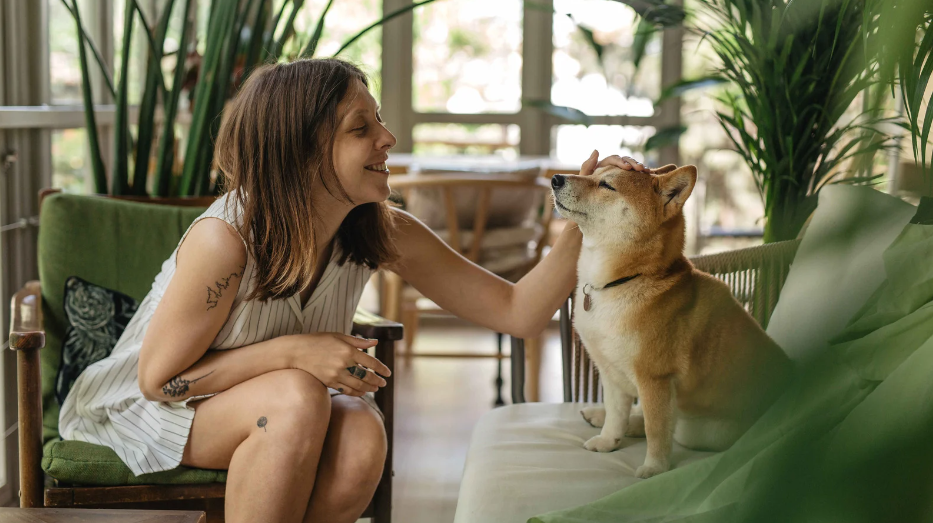 pet door for sliding glass door