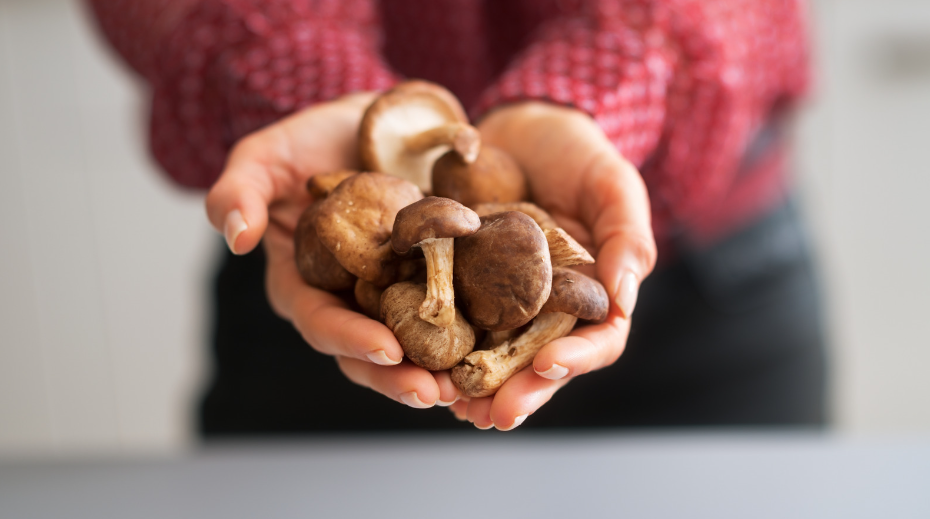 Shiitake Mushroom